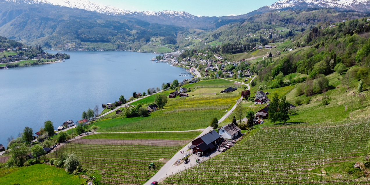 Hakastad og utover